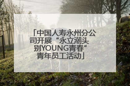 中国人寿永州分公司开展“永立潮头 别YOUNG青春”青年员工活动