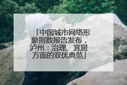 中国城市网络形象指数报告发布，泸州：治理、宜居方面的双优典范