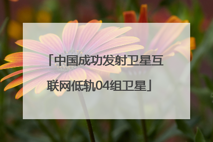 中国成功发射卫星互联网低轨04组卫星