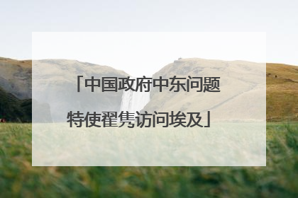 中国政府中东问题特使翟隽访问埃及