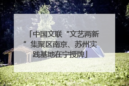 中国文联“文艺两新”集聚区南京、苏州实践基地在宁授牌