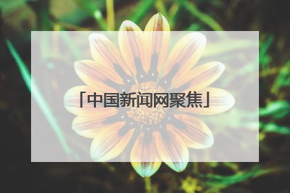中国新闻网聚焦