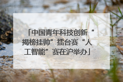 中国青年科技创新“揭榜挂帅”擂台赛“人工智能”赛在沪举办
