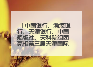 中国银行、渤海银行、天津银行、中国船级社、天科院组团亮相第三届天津国际航运展 输出航运服务“中国方案”