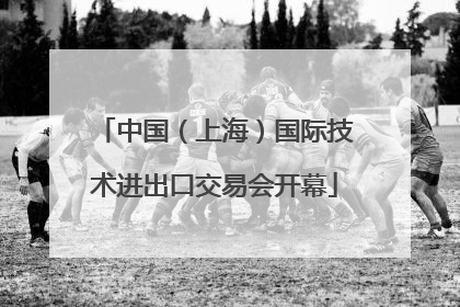 中国（上海）国际技术进出口交易会开幕