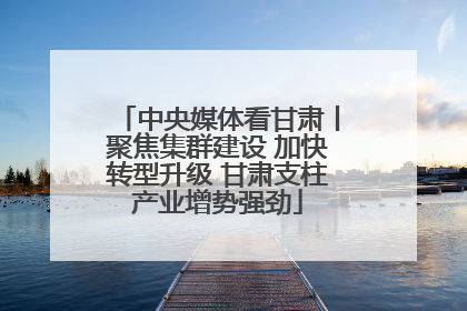 中央媒体看甘肃丨聚焦集群建设 加快转型升级 甘肃支柱产业增势强劲