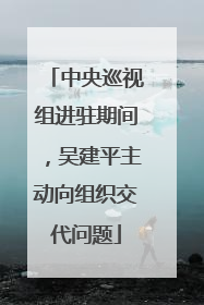 中央巡视组进驻期间，吴建平主动向组织交代问题