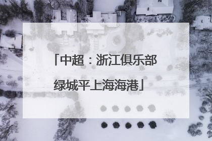 中超：浙江俱乐部绿城平上海海港