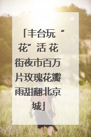 丰台玩“花”活 花街夜市百万片玫瑰花瓣雨甜翻北京城