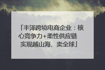 丰泽跨境电商企业：核心竞争力+柔性供应链 实现越山海、卖全球