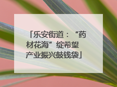 乐安街道：“药材花海”绽希望 产业振兴鼓钱袋