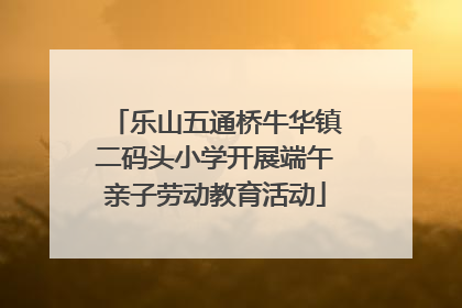 乐山五通桥牛华镇二码头小学开展端午亲子劳动教育活动