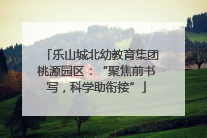 乐山城北幼教育集团桃源园区：“聚焦前书写，科学助衔接”