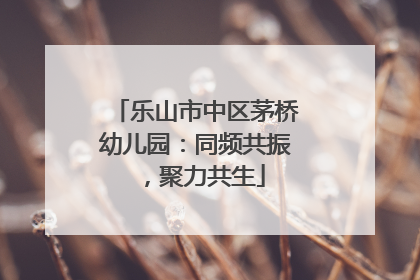 乐山市中区茅桥幼儿园：同频共振，聚力共生