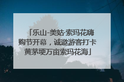 乐山-美姑·索玛花嗨购节开幕，诚邀游客打卡黄茅埂万亩索玛花海