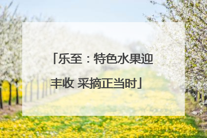 乐至：特色水果迎丰收 采摘正当时