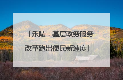 乐陵：基层政务服务改革跑出便民新速度