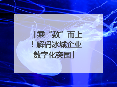 乘“数”而上！解码冰城企业数字化突围