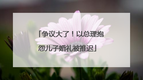 争议大了！以总理抱怨儿子婚礼被推迟