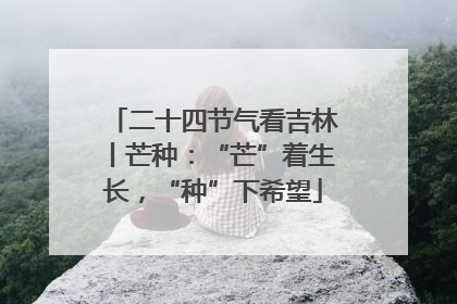 二十四节气看吉林丨芒种：“芒”着生长，“种”下希望