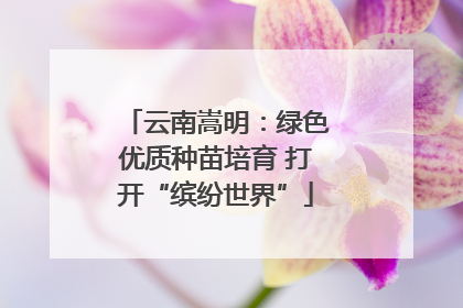 云南嵩明：绿色优质种苗培育 打开“缤纷世界”