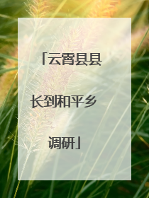 云霄县县长到和平乡调研
