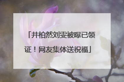 井柏然刘雯被曝已领证！网友集体送祝福