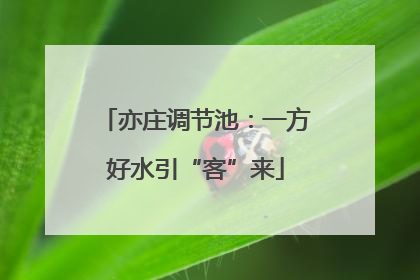 亦庄调节池：一方好水引“客”来