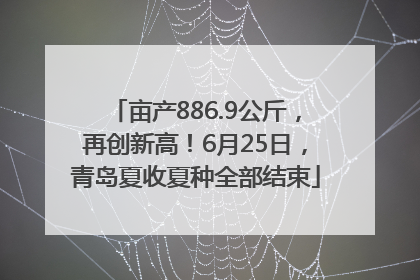 亩产886.9公斤，再创新高！6月25日，青岛夏收夏种全部结束