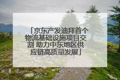 京东产发迪拜首个物流基础设施项目交割 助力中东地区供应链高质量发展