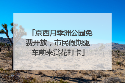 京西月季洲公园免费开放，市民假期驱车前来赏花打卡