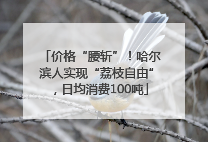 价格“腰斩”！哈尔滨人实现“荔枝自由”，日均消费100吨