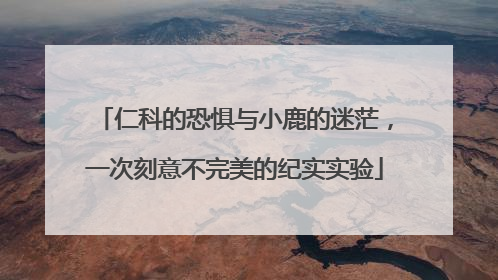 仁科的恐惧与小鹿的迷茫，一次刻意不完美的纪实实验