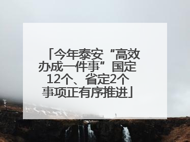 今年泰安“高效办成一件事”国定12个、省定2个事项正有序推进