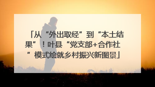 从“外出取经”到“本土结果”！叶县“党支部+合作社”模式绘就乡村振兴新图景