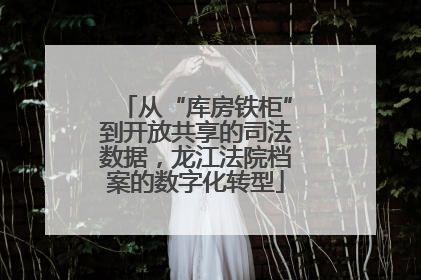 从“库房铁柜”到开放共享的司法数据，龙江法院档案的数字化转型