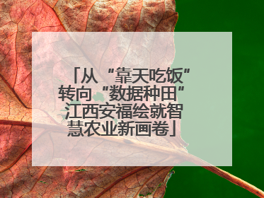 从“靠天吃饭”转向“数据种田” 江西安福绘就智慧农业新画卷