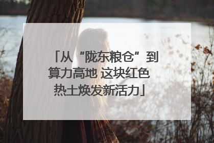 从“陇东粮仓”到算力高地 这块红色热土焕发新活力