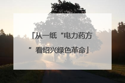 从一纸“电力药方”看绍兴绿色革命
