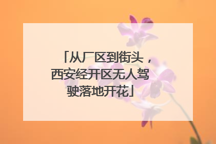 从厂区到街头，西安经开区无人驾驶落地开花