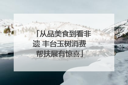 从品美食到看非遗 丰台玉树消费帮扶展有惊喜