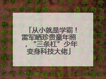 从小就是学霸！雷军晒珍贵童年照，“三条杠”少年变身科技大佬