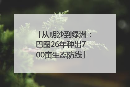 从明沙到绿洲：巴图26年种出700亩生态防线