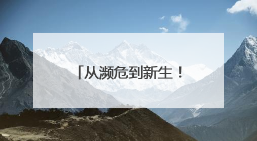 从濒危到新生！人工繁育+野外保护让中国绿孔雀走上种群逆袭之路