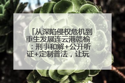从深陷侵权危机到重生发展连云港赣榆：刑事和解+公开听证+定制普法，让玩具公司回到正轨