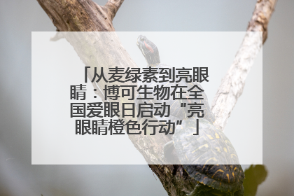 从麦绿素到亮眼睛：博可生物在全国爱眼日启动“亮眼睛橙色行动”