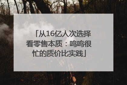 从16亿人次选择看零售本质：鸣鸣很忙的质价比实践