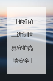 他们在二进制世界守护高墙安全