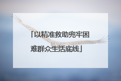 以精准救助兜牢困难群众生活底线