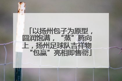 以扬州包子为原型，圆润饱满，“蒸”腾向上，扬州足球队吉祥物“包赢”亮相即售罄